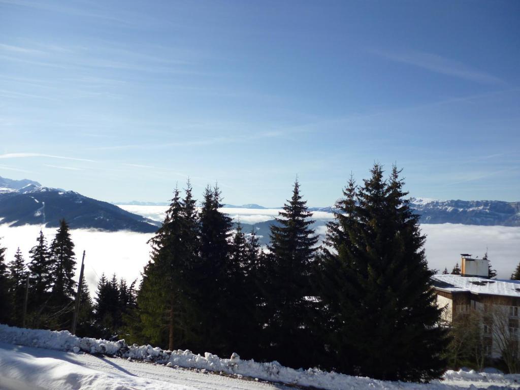 Appartements Le Clos Des Gentianes Allevard Dış mekan fotoğraf